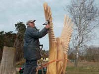 Der große Adler von Körkwitz  - Bilder von Siegfried Kümmell