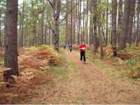 Staffelmarathon 2008 im Ostseebad Dierhagen - Bilder von Siegfried Kümmel